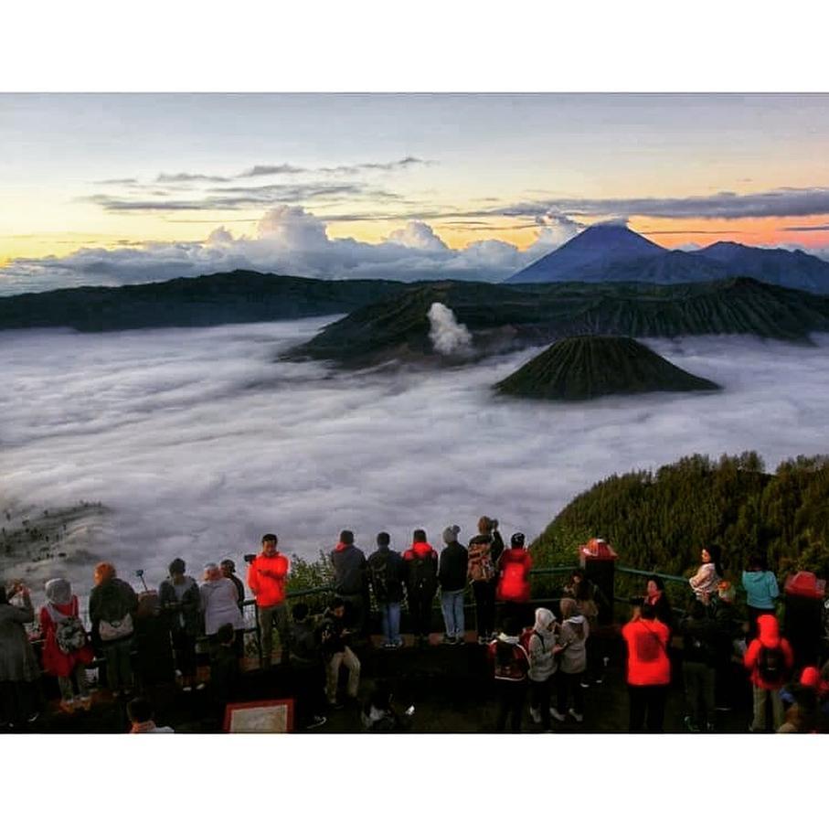 Bromo Backpacker Tosari Lejlighed Pasuruan Eksteriør billede