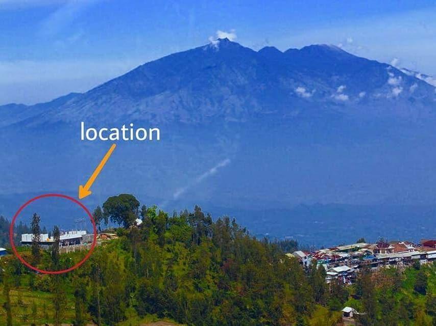 Bromo Backpacker Tosari Lejlighed Pasuruan Eksteriør billede